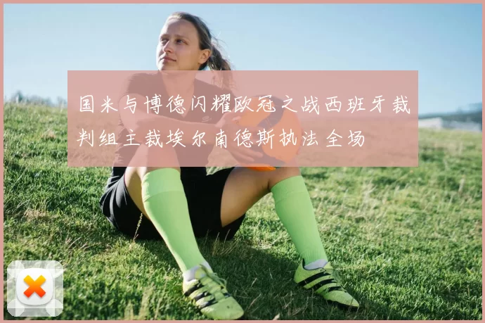 国米与博德闪耀欧冠之战西班牙裁判组主裁埃尔南德斯执法全场