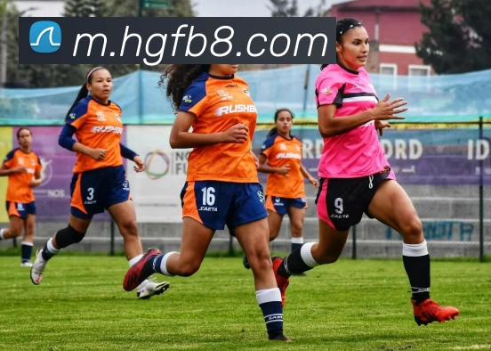 皇冠足球服务体系